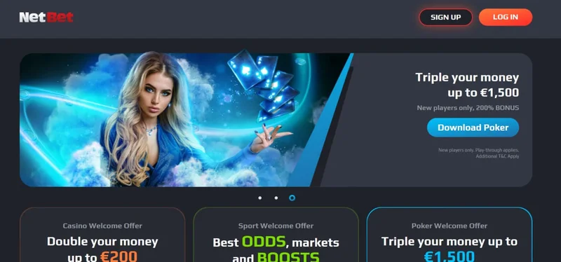Netbet Casino game providers
